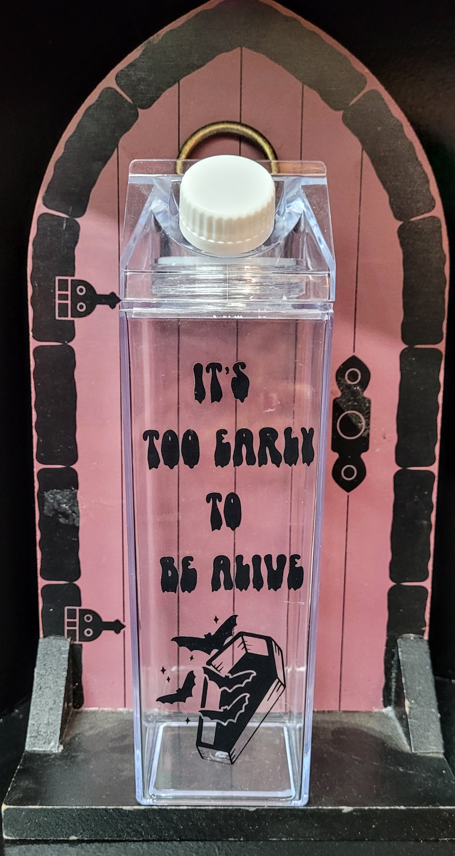 Milk carton water bottle