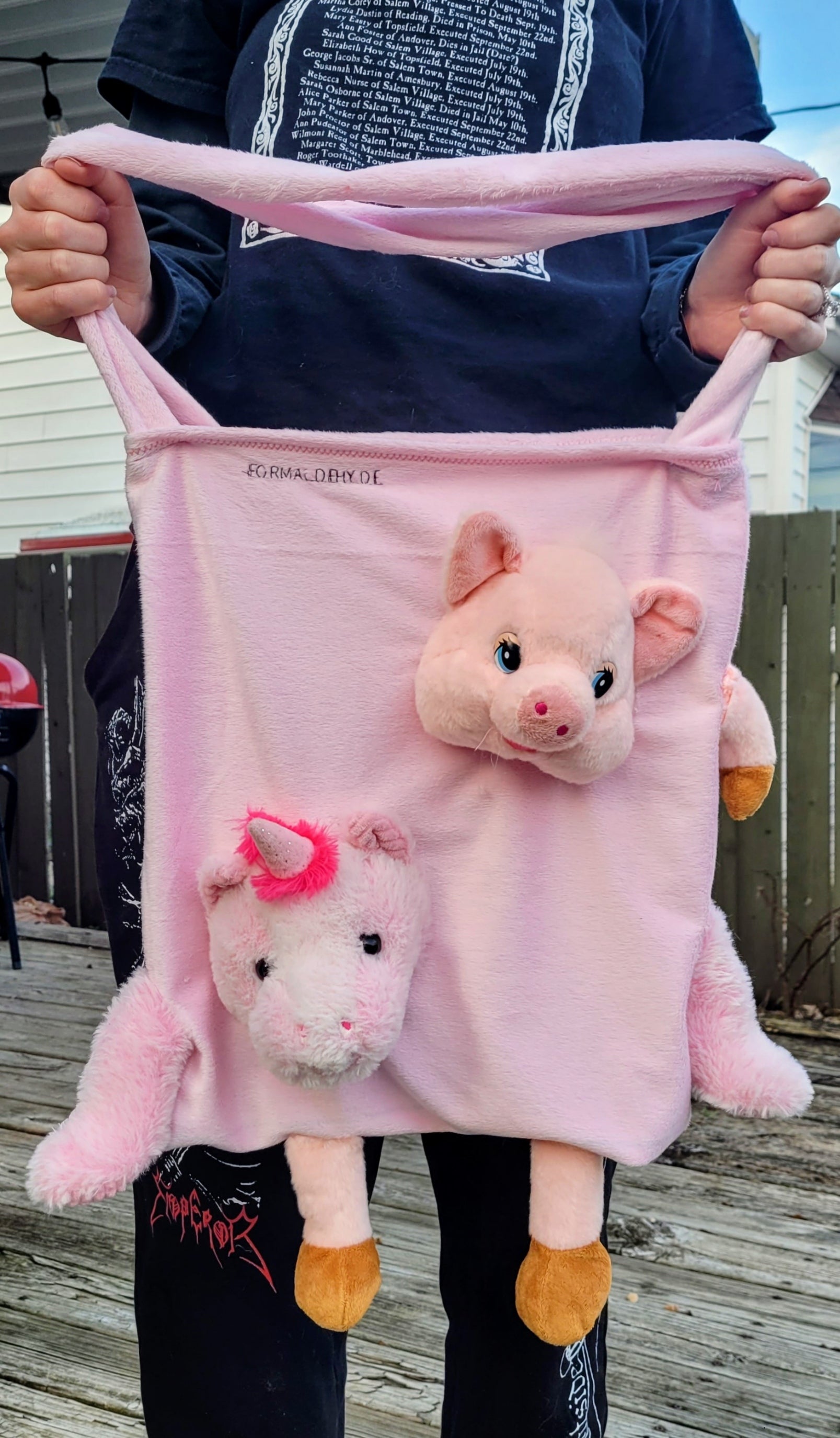 Stuffed animal tote bag